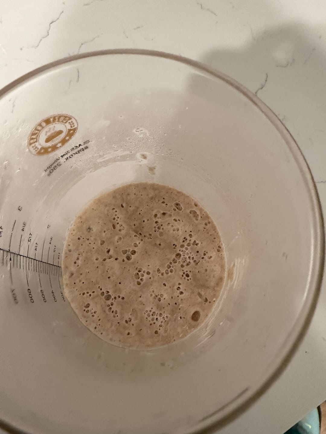 Customer photo review of Sourdough Starter Survival Guide | A Clear, Beginner-Friendly System for Feeding & Maintaining a Healthy Starter