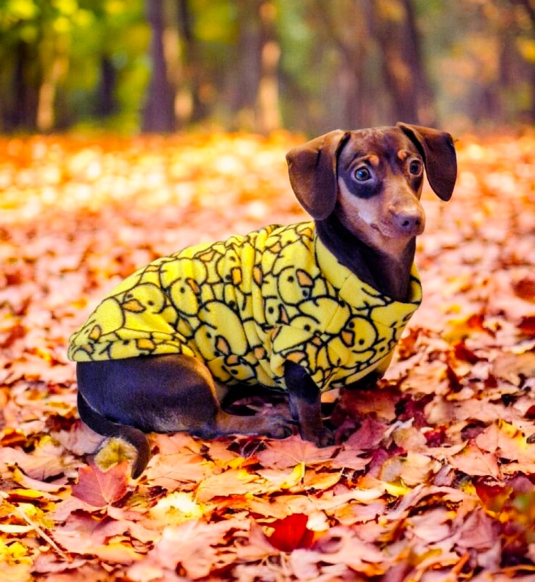 Customer photo review of Yellow Ducks Anti Pill Polar Fleece Fabric