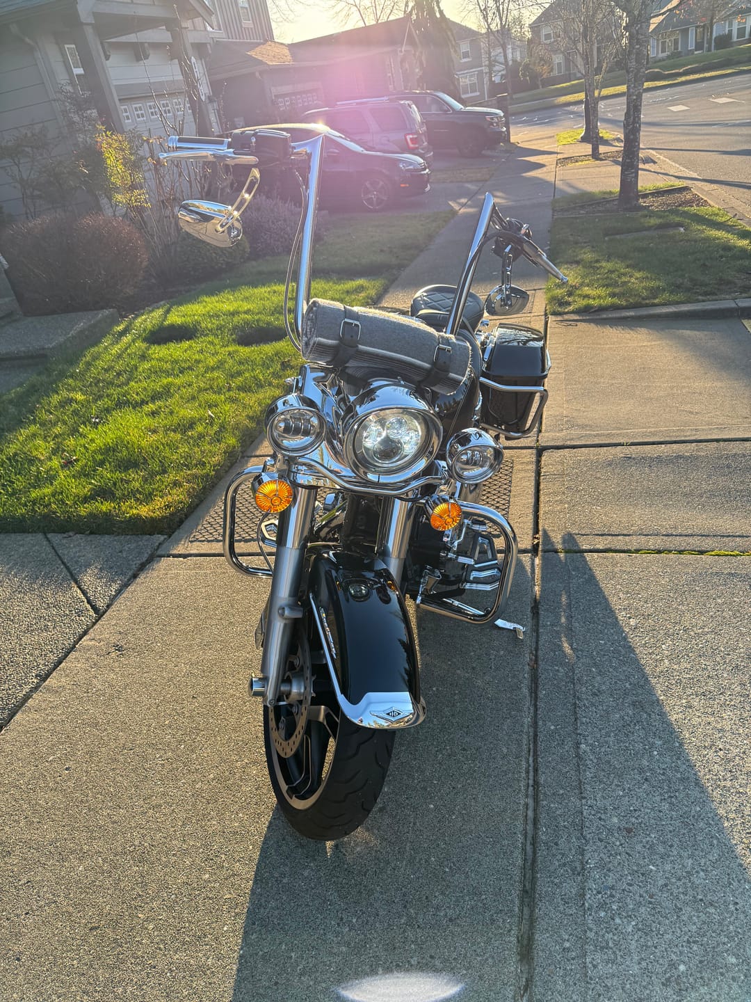 Customer photo review of Harley Davidson Turn Signal Lenses - Screw in Style