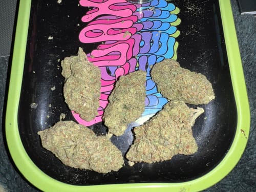 Customer photo review of White Widow Flower