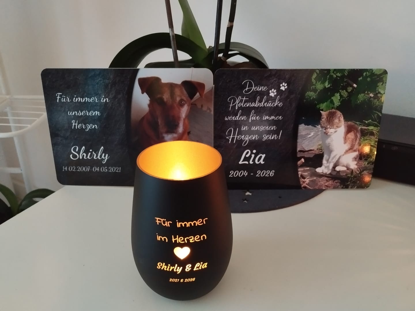 Customer photo review of Katzen Gedenktafel mit Foto & Spruch (UV- & Wetterfest)