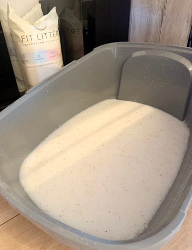 Customer photo review of 3 Month Supply - 1 Cat