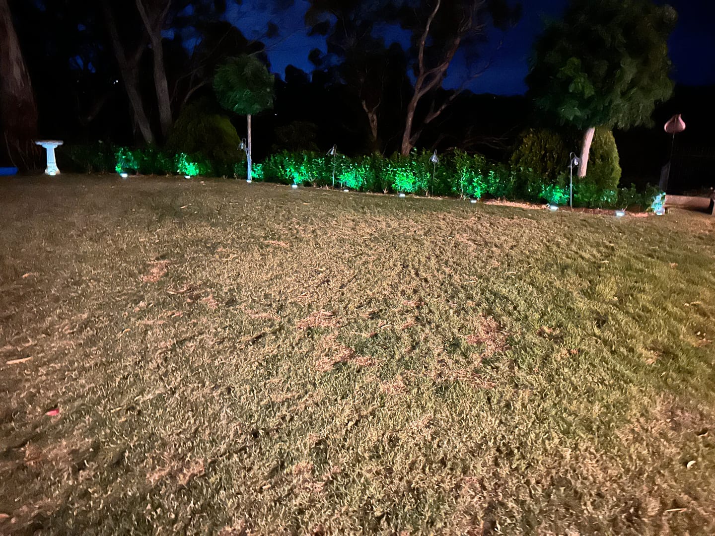 Customer photo review of GardenBrite™ Solar Ground Light Pack