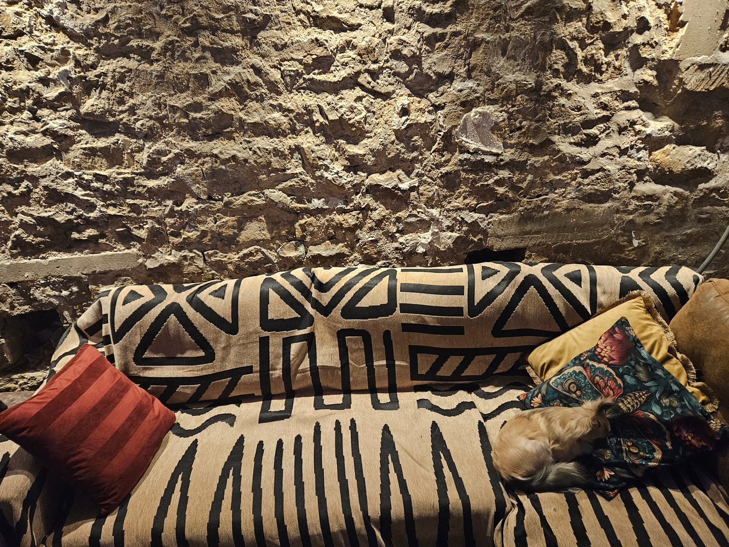 Customer photo review of Pet Couch Covers