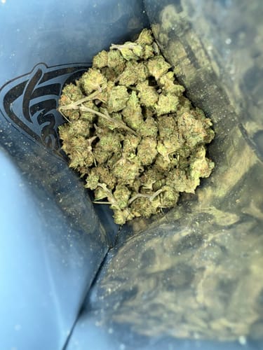 Customer photo review of Green Crack (smalls)