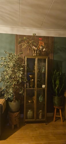 Klant toont de Dutchbone Gertlush vitrinekast in een sfeervolle woonkamer tussen grote planten.