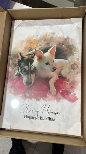 Customer photo review of Foto de tu mascota en estilo acuarela | Regalo para cachorros, perros y gatos