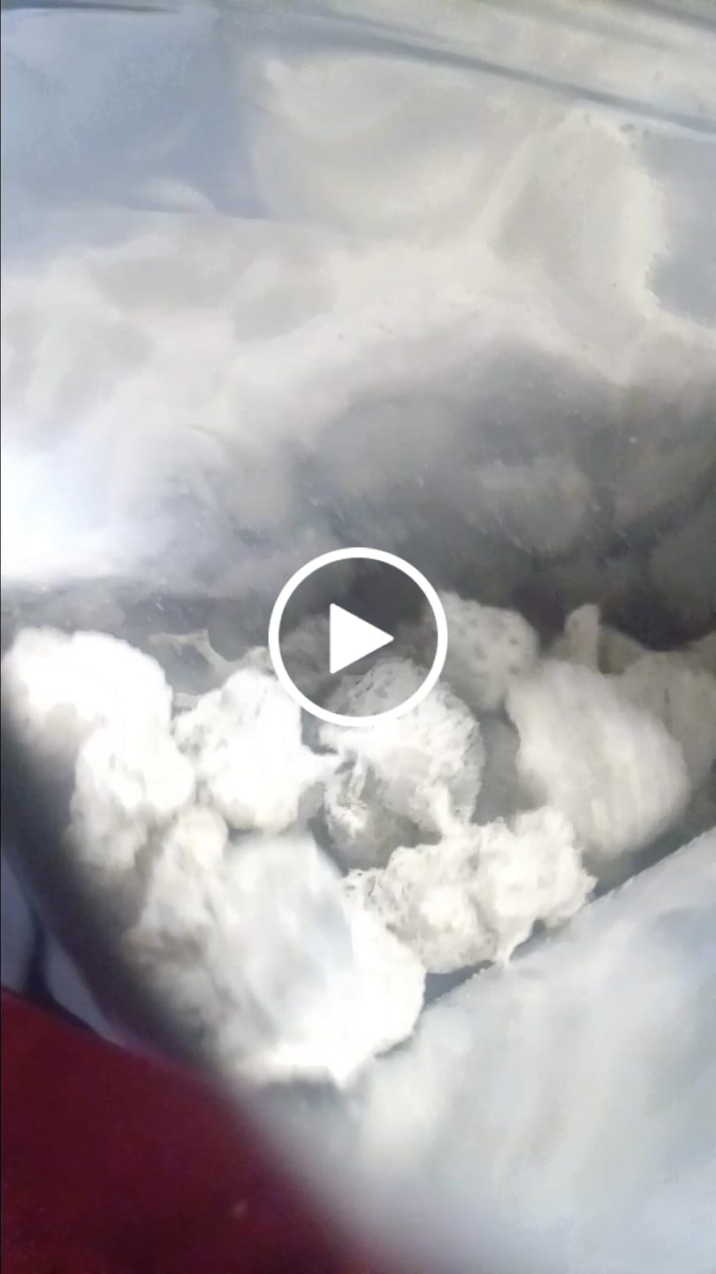 Customer video review of Snowballs