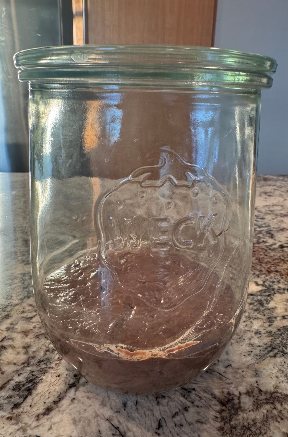 Customer photo review of Live 118 Year Old Valrhona CHOCOLATE Sourdough Starter Includes Maintenance PDF & Chocolate Noir Loaf Recipe
