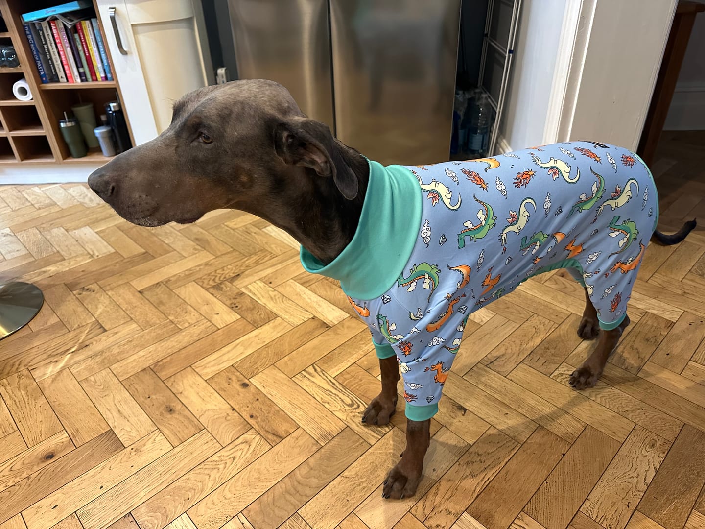 Customer photo review of Dog Pajama - Dragons