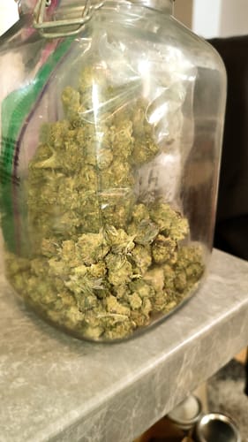 Customer photo review of Grape Gas - Bulk - Hybrid