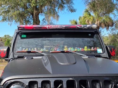 Customer photo review of Graphic InsertZ | Subscription Box