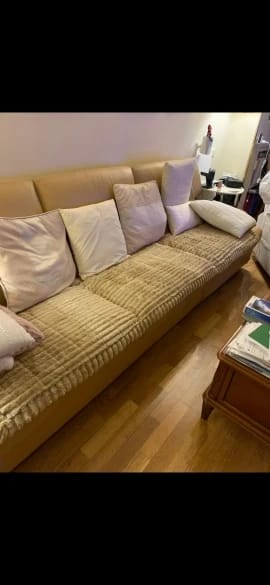 Customer photo review of LuxeLounge™ – Washable Pet Couch Cover