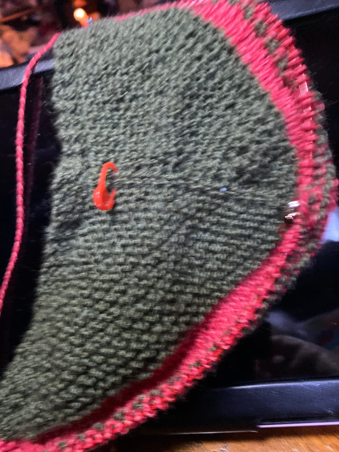 Customer photo review of Roots LITE: Forest