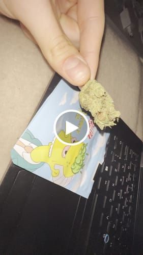 Customer video review of Montgomery Benz THCA Flower