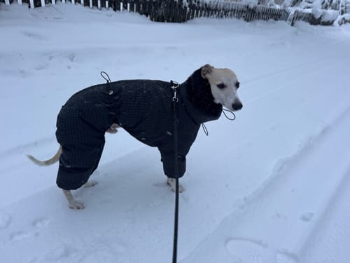 Customer photo review of WinterCore Down Jacket
