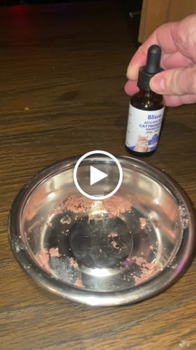 Customer video review of 8x Blisso Advanced Cat Probiotic | Cat Probiotic for Diarrhea & Kidney Support