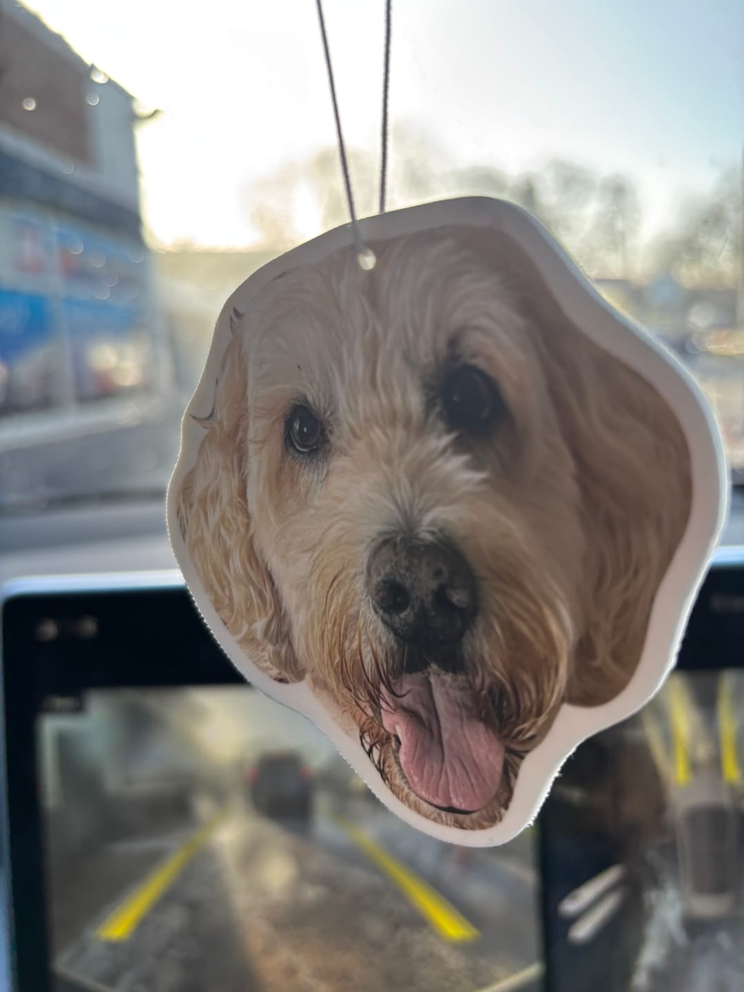 Customer photo review of Personalised Custom Car Air Freshener With Your Photo