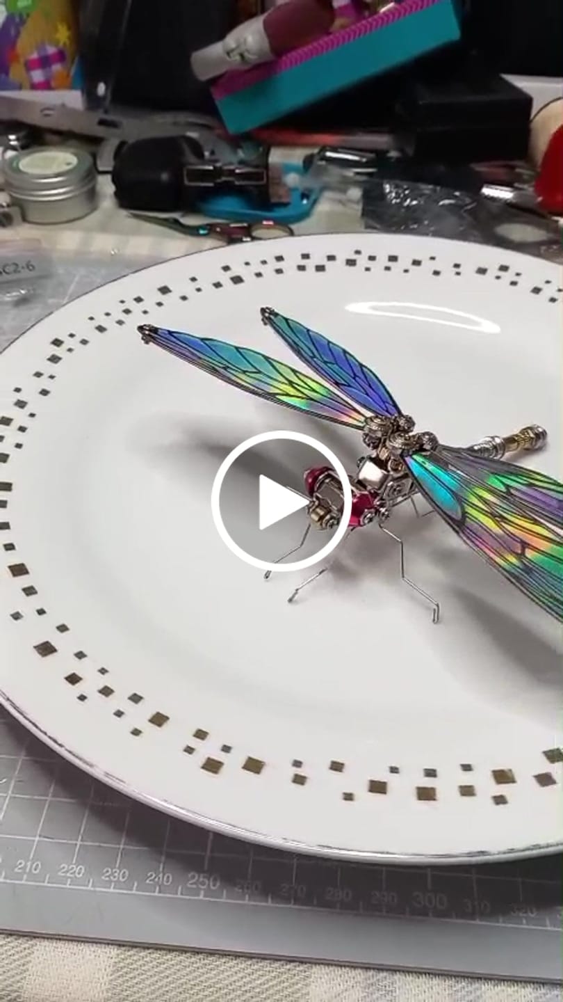 Customer video review of Dragonfly