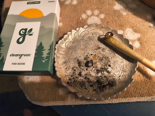 Customer photo review of Purple Punch Pre-Roll 1 Gram