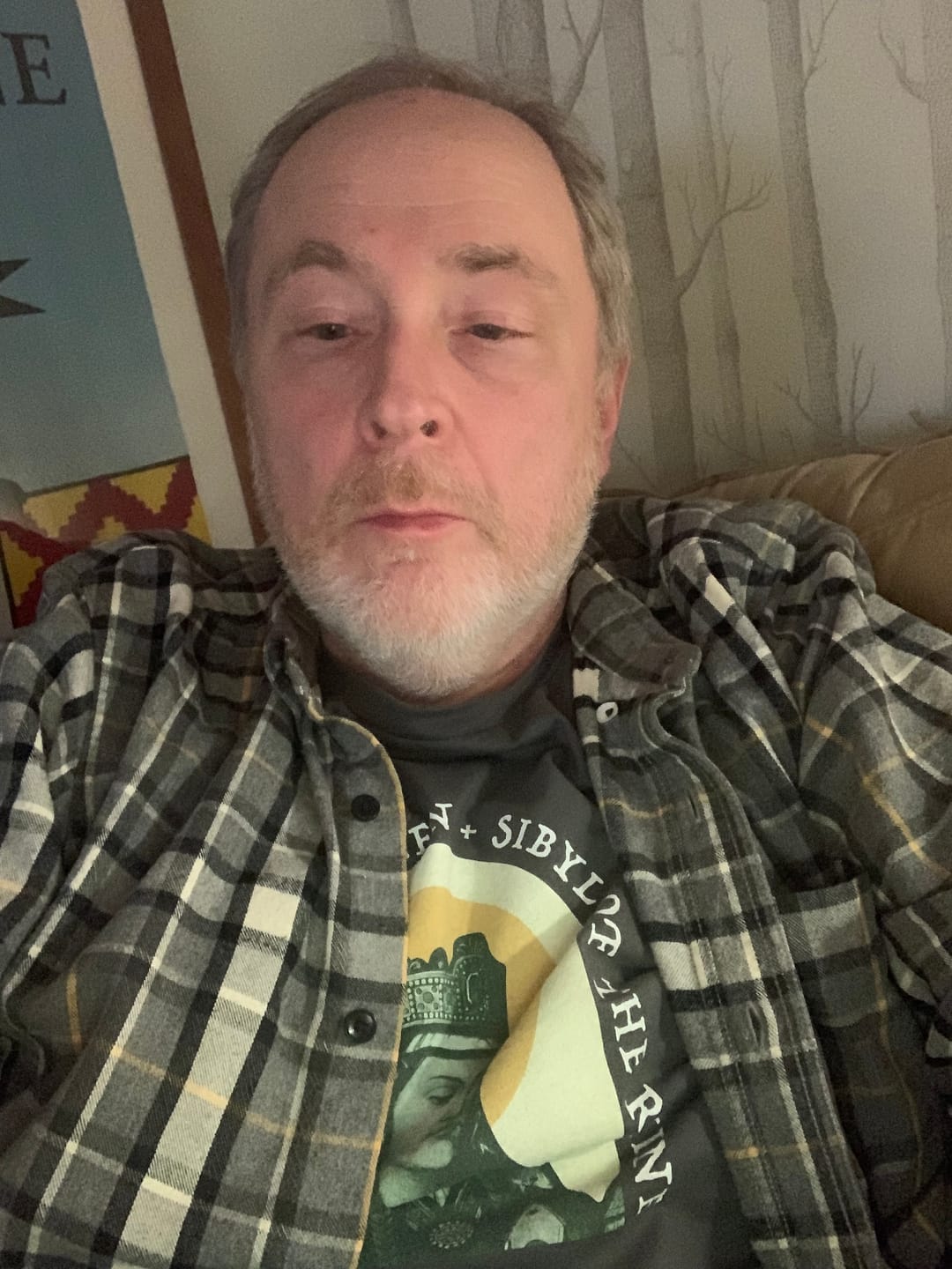 Customer photo review of Hildegard von Bingen: Sibyl of the Rhine T-Shirt