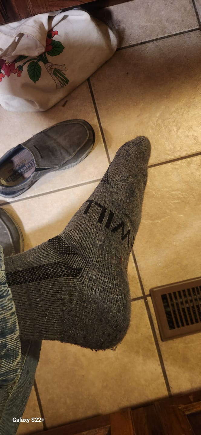 Customer photo review of Bluepacca Alpaca Socks Set