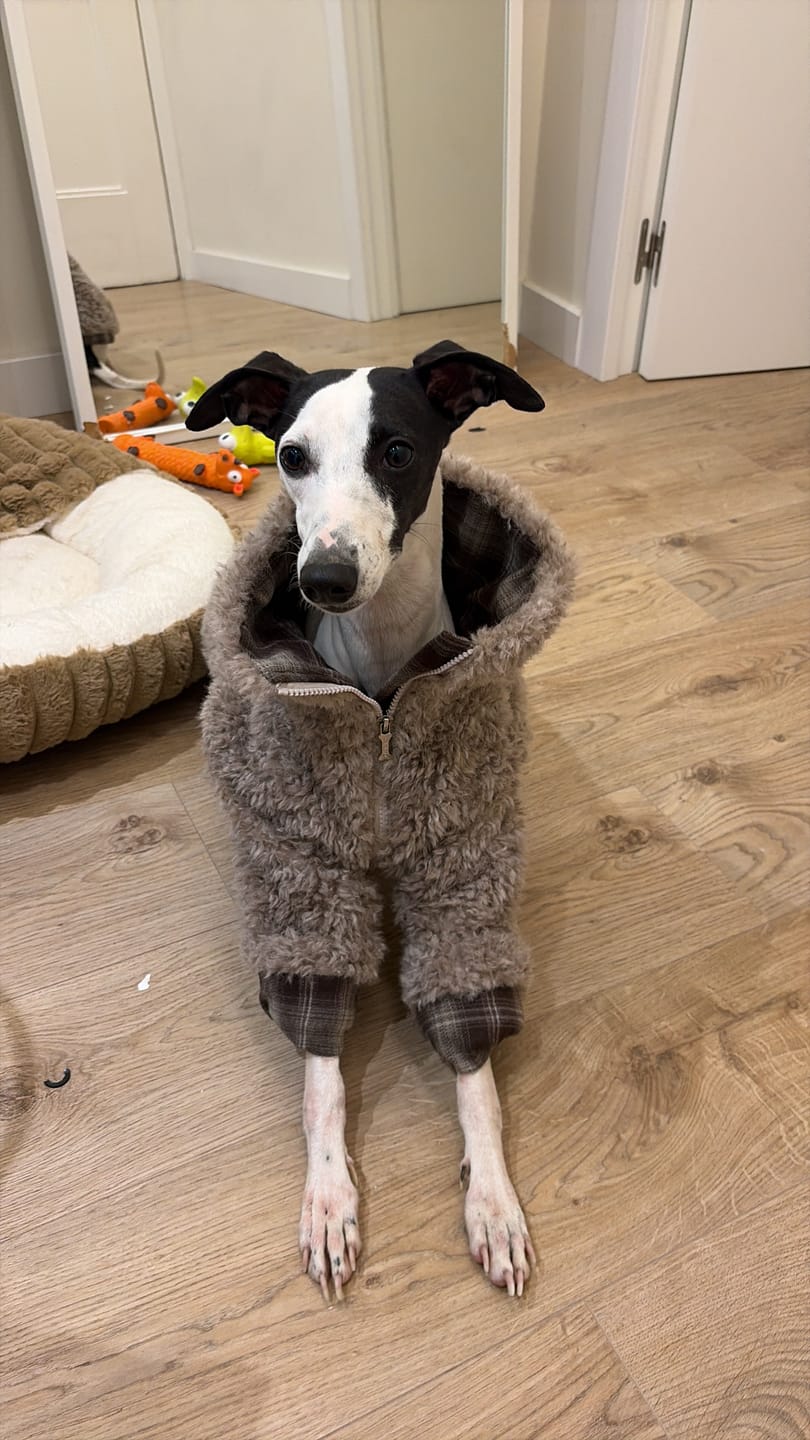 Customer photo review of Signature Warmth Bundle