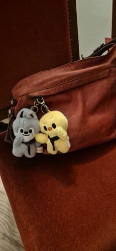 Customer photo review of Kpop Doll Magnetic Keychain