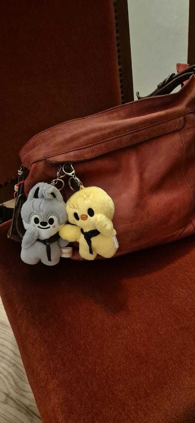 Customer photo review of Kpop Doll Magnetic Keychain