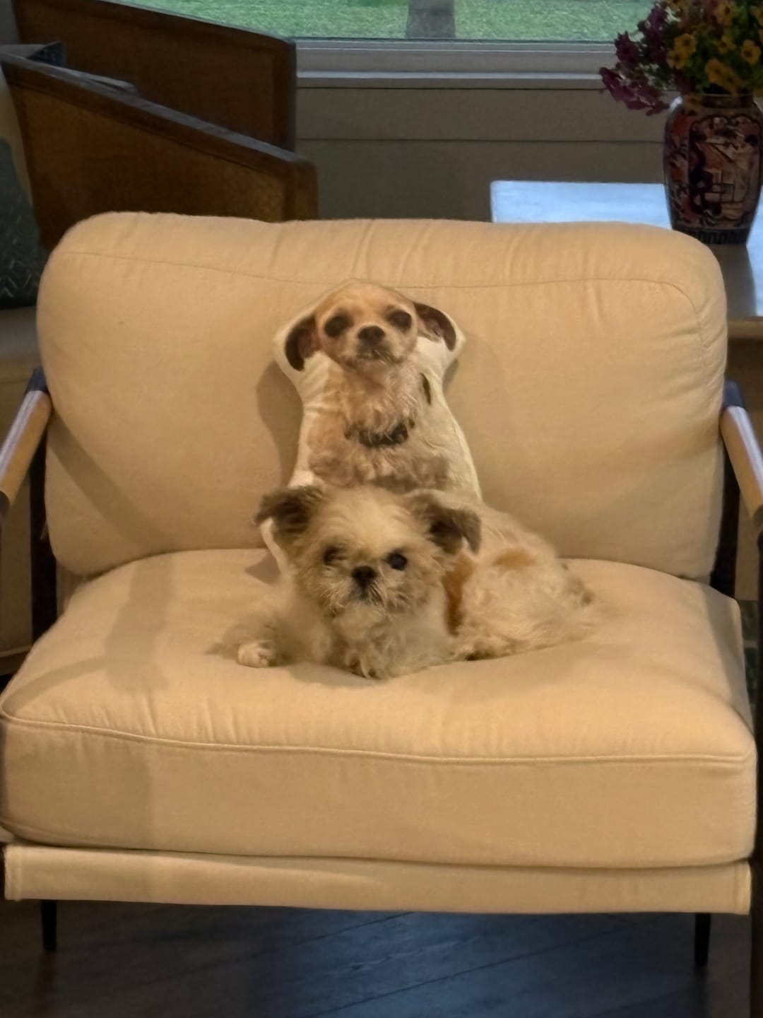 Customer photo review of Pet Pillow Looks Like Your Pet, Customize Dog Shaped Pillow with Pet Photo - ThePetPillow