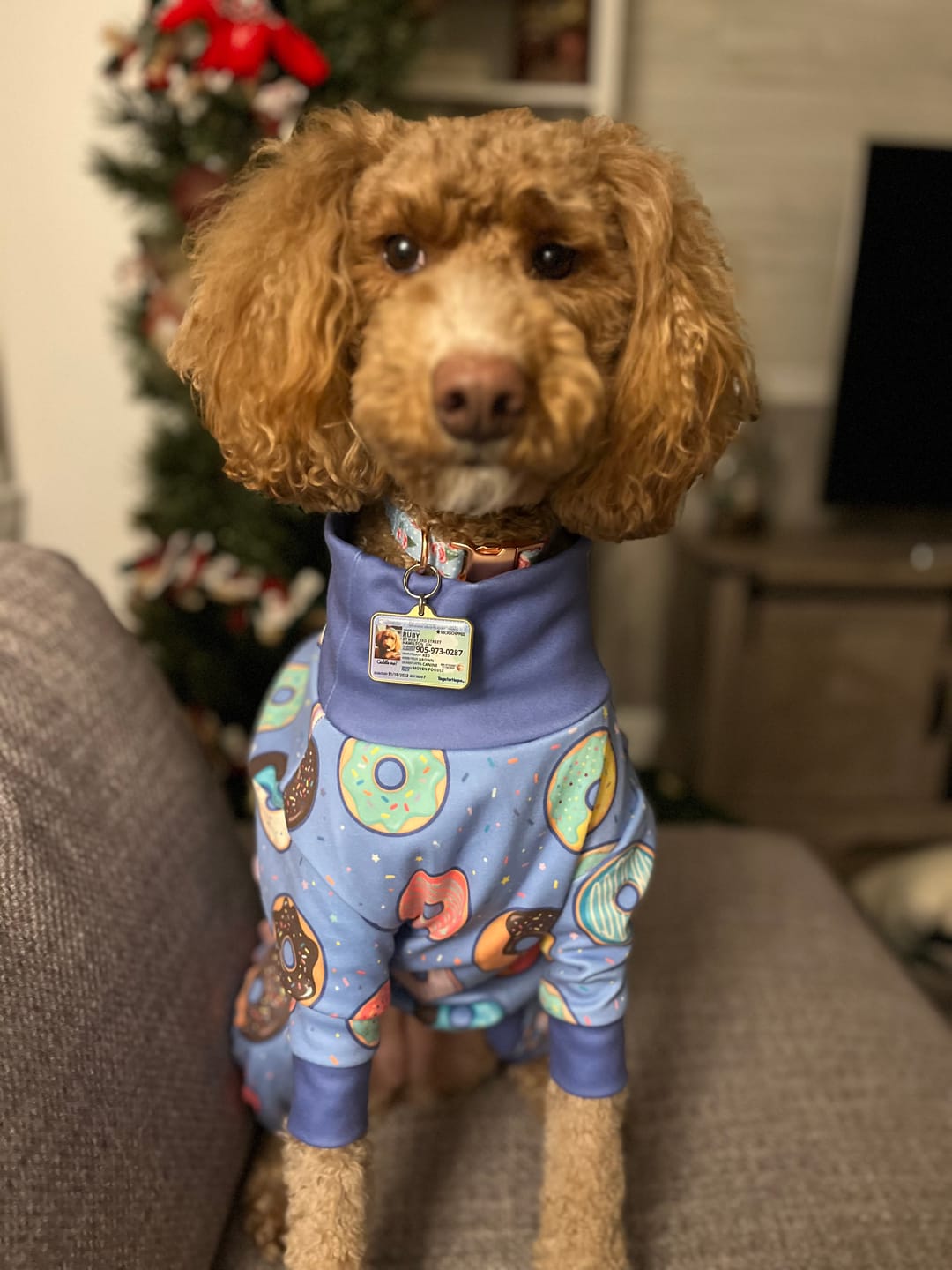 Customer photo review of Dog Pajama Prints