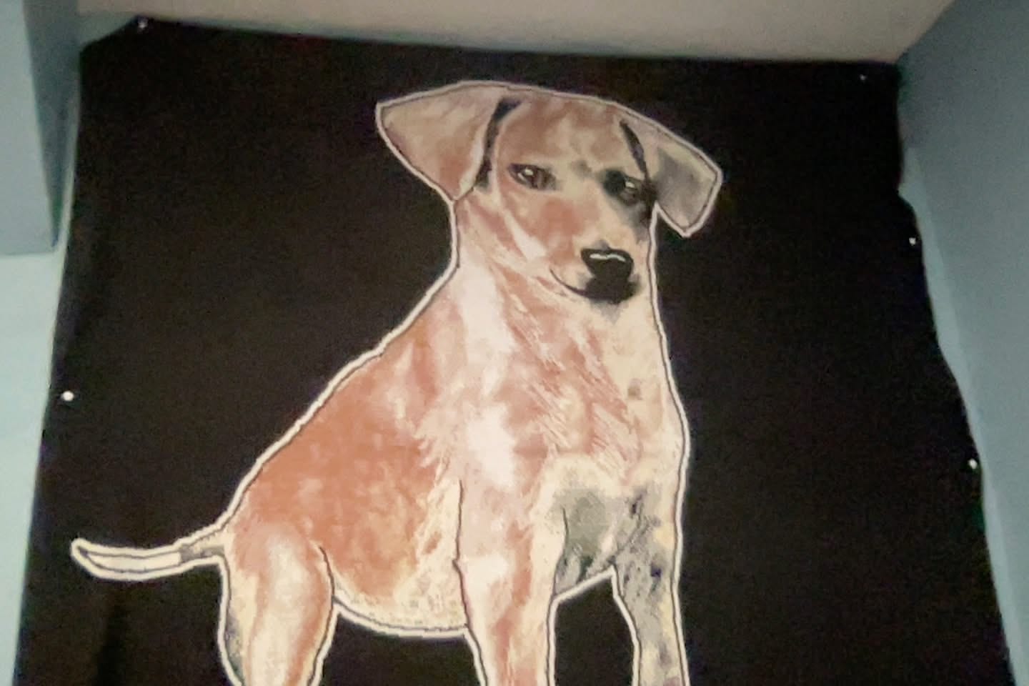 Customer photo review of Plain Dog - Custom Knitted Blanket