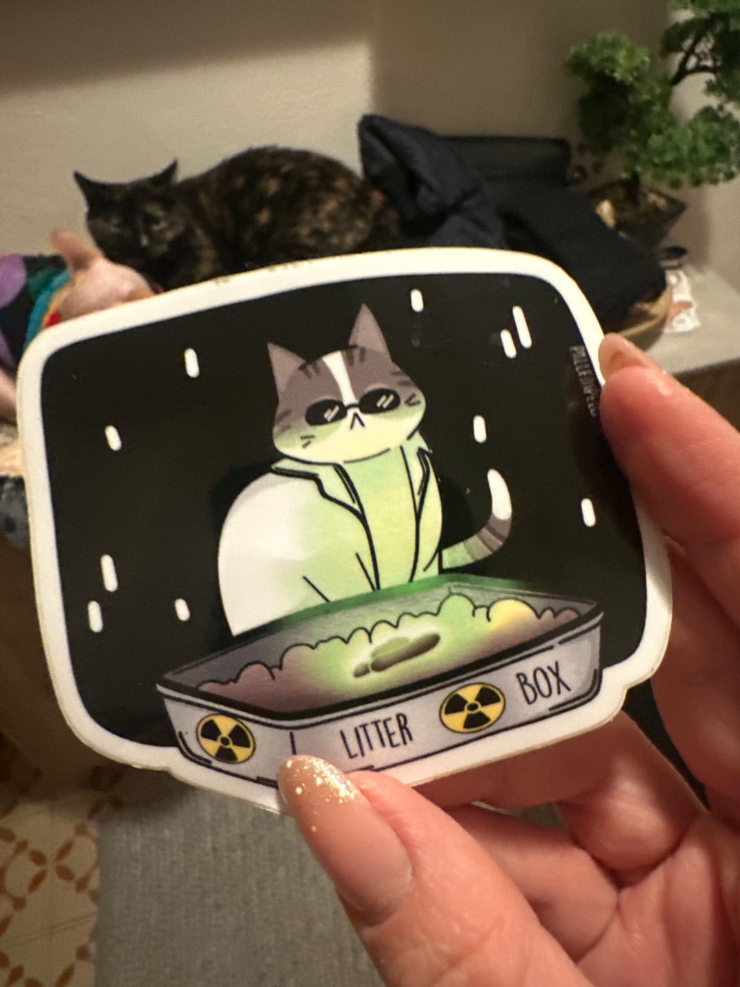 Customer photo review of Sticker Gatto