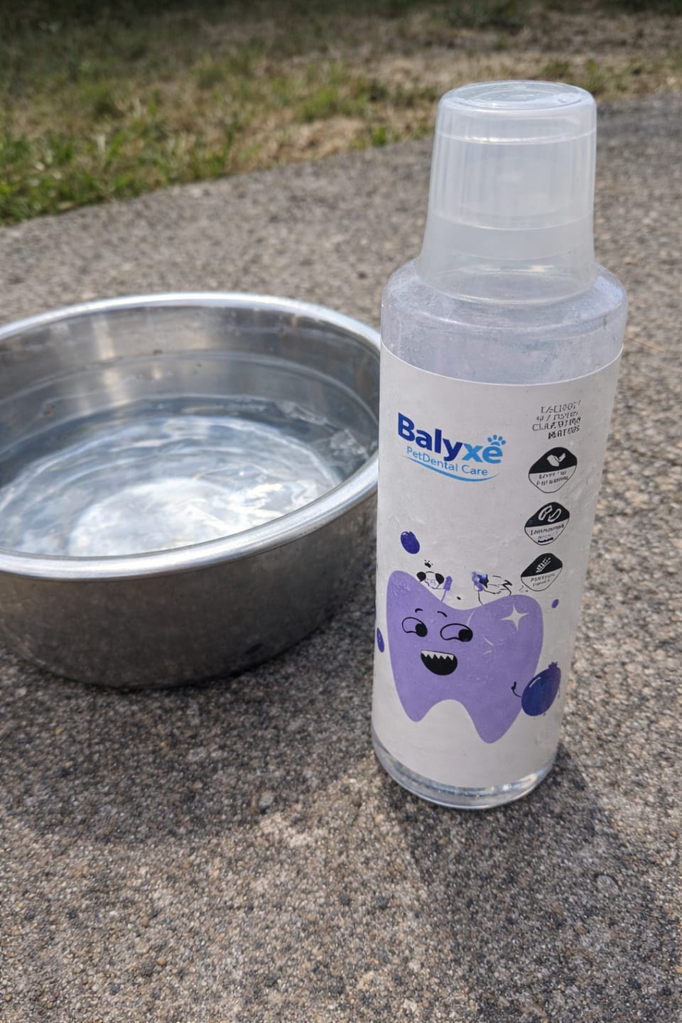 Customer photo review of Balyxe: Protección Dental para Mascotas