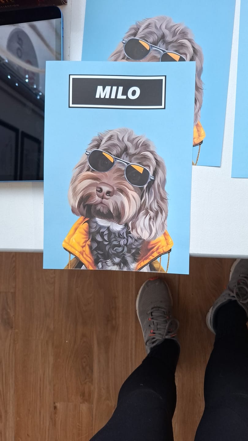 Customer photo review of Wonderwall