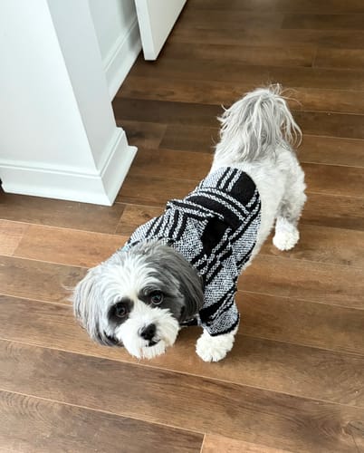 Customer photo review of Playa Poncho – Mystery Color (Bella, Charlie, or Fun Edition)