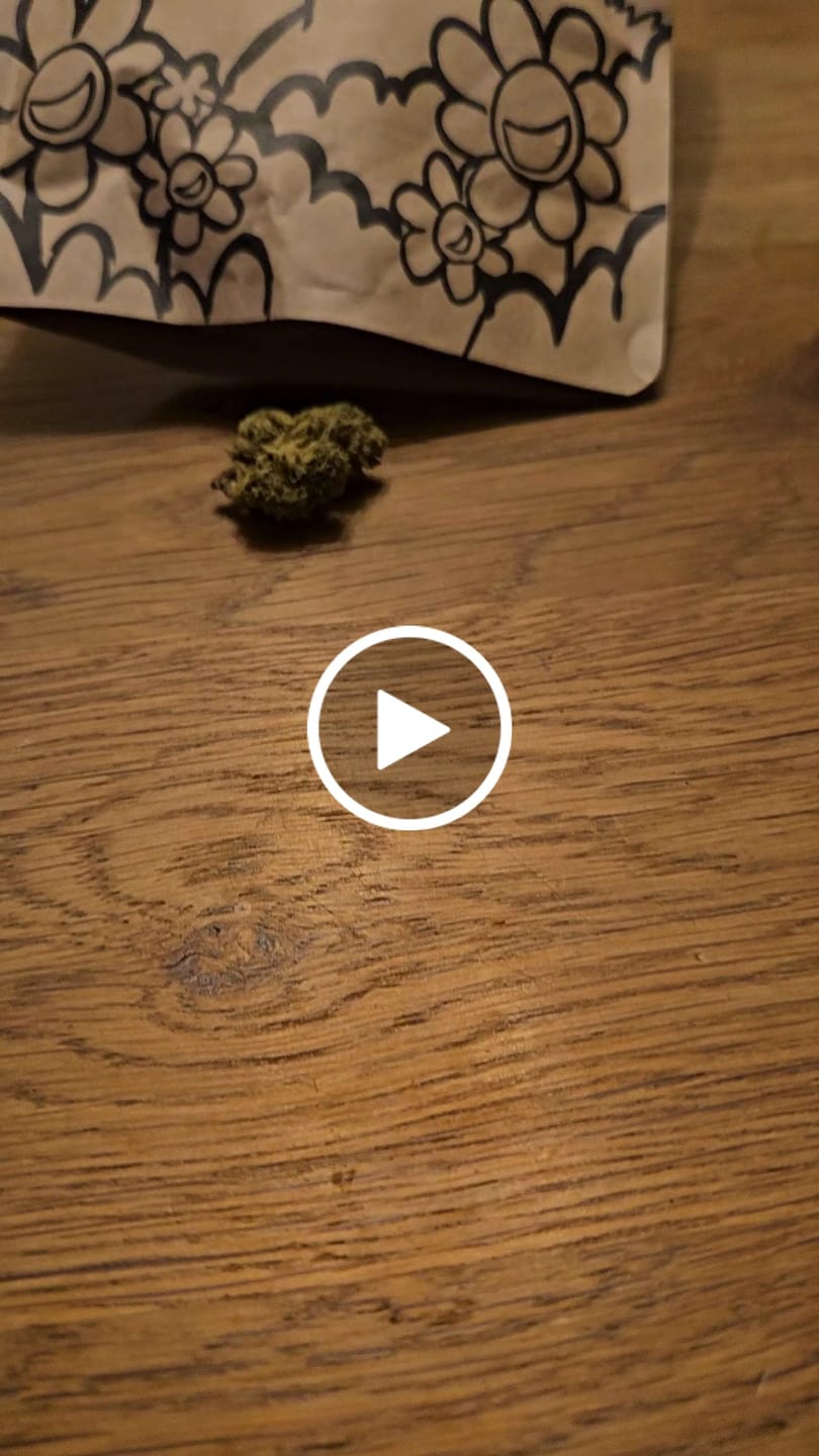 Customer video review of 😶‍🌫️ Amnesia Haze - Power LVL: 5/5