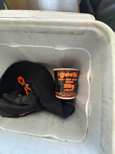 Customer photo review of V1 - GOCHI High Protein Ramen