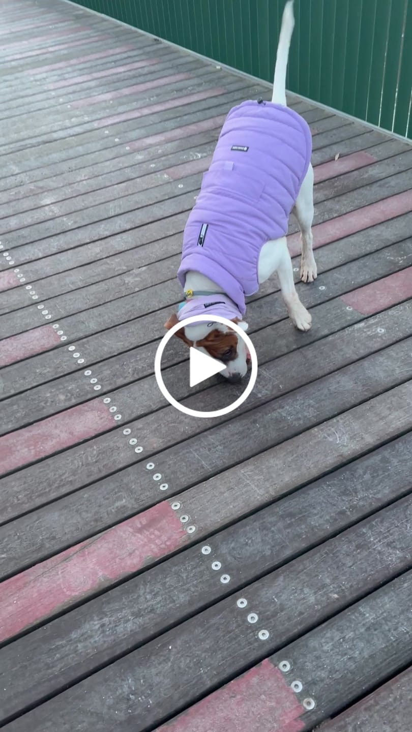 Customer video review of WarmShield Water-Resistant Jacket - Lilac
