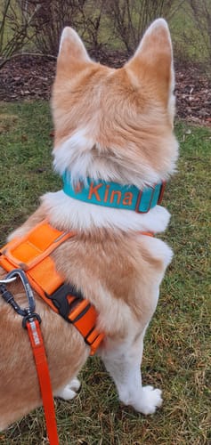 Customer photo review of Personalisation Fee €8.99