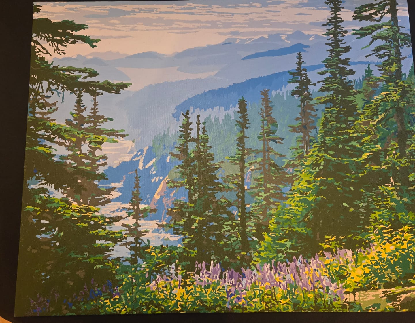 Customer photo review of Olympic National Park
