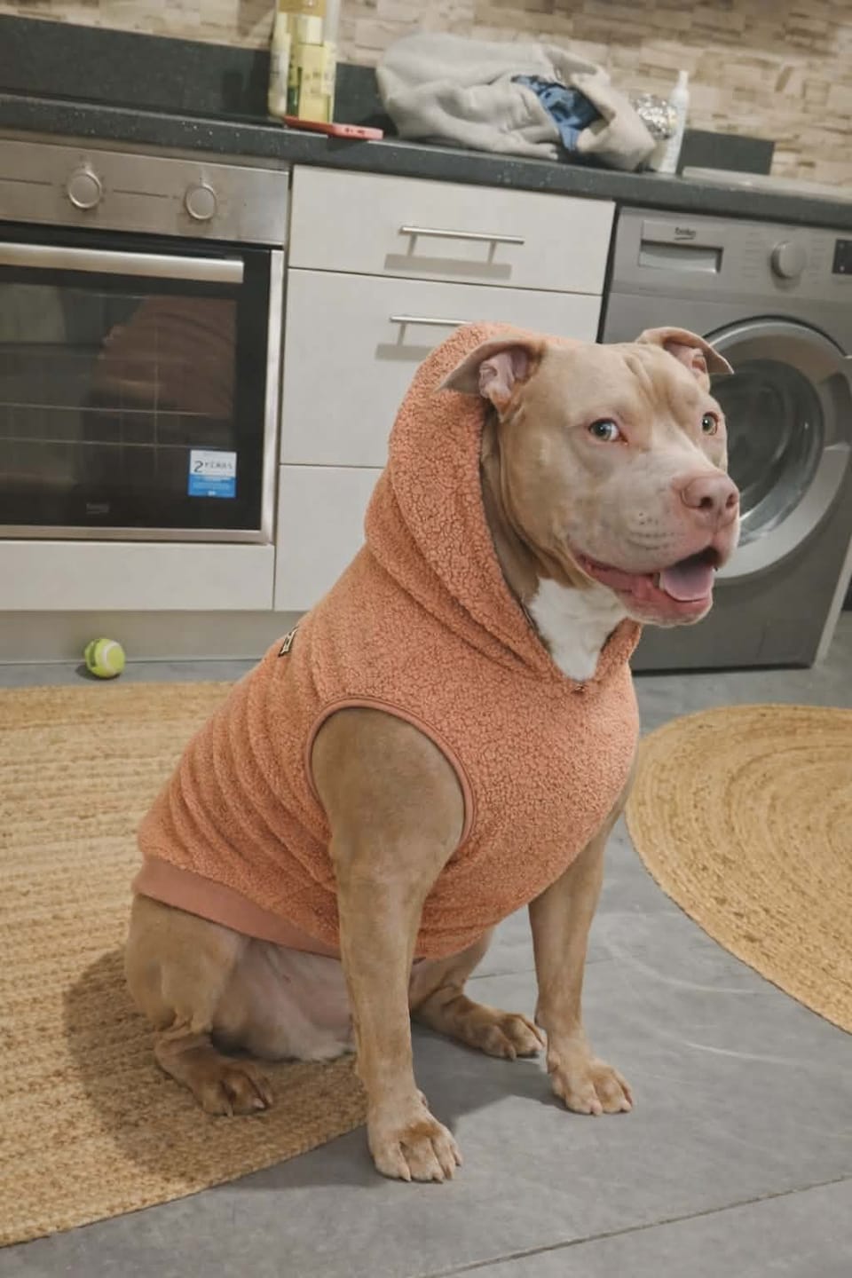 Customer photo review of Teddy Sherpa Dog Jackets