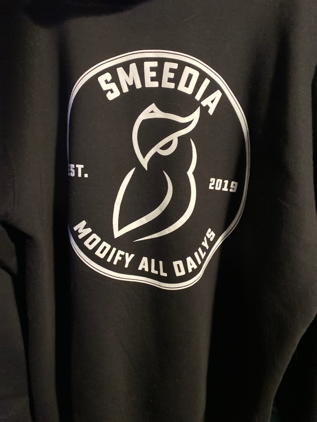 Customer photo review of Modify All Dailys Hoodie