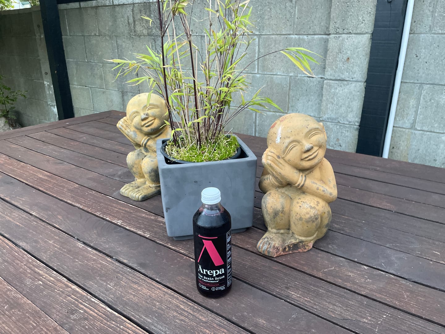 Customer photo review of The Brain Drink for Performance (300ml)⁺