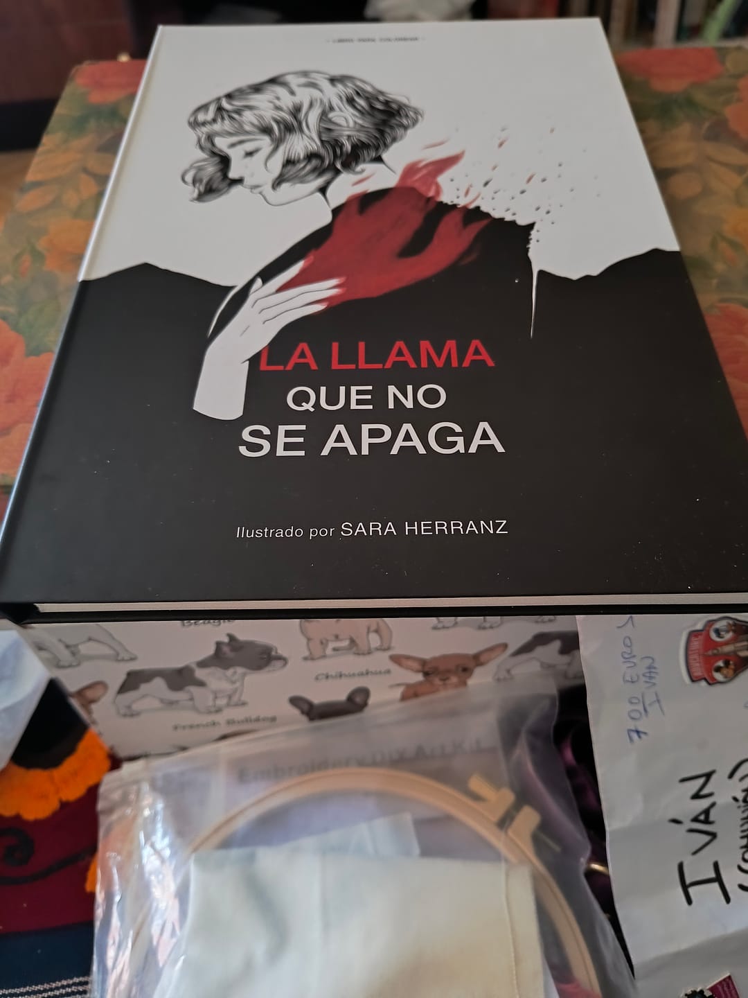 Customer photo review of ¿Que Pinto yo Aquí? por Mr Gonar