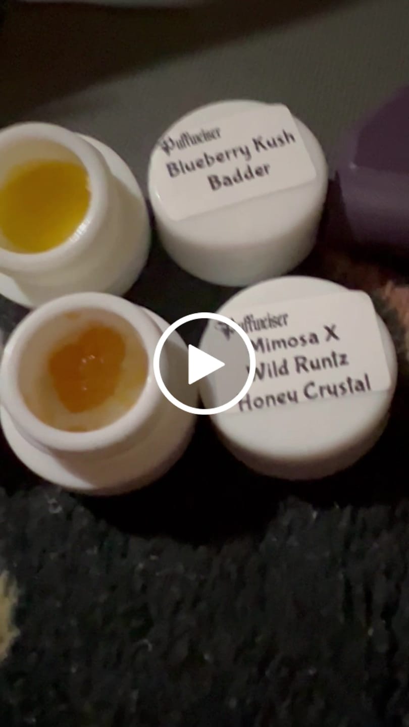 Customer video review of 🎁 Free Welcome Bundle