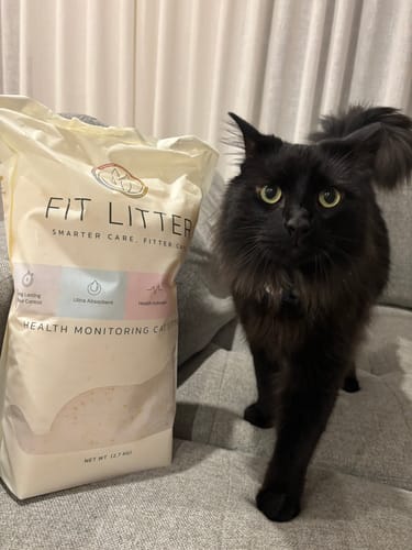 Customer photo review of 3 Month Supply - 1 Cat