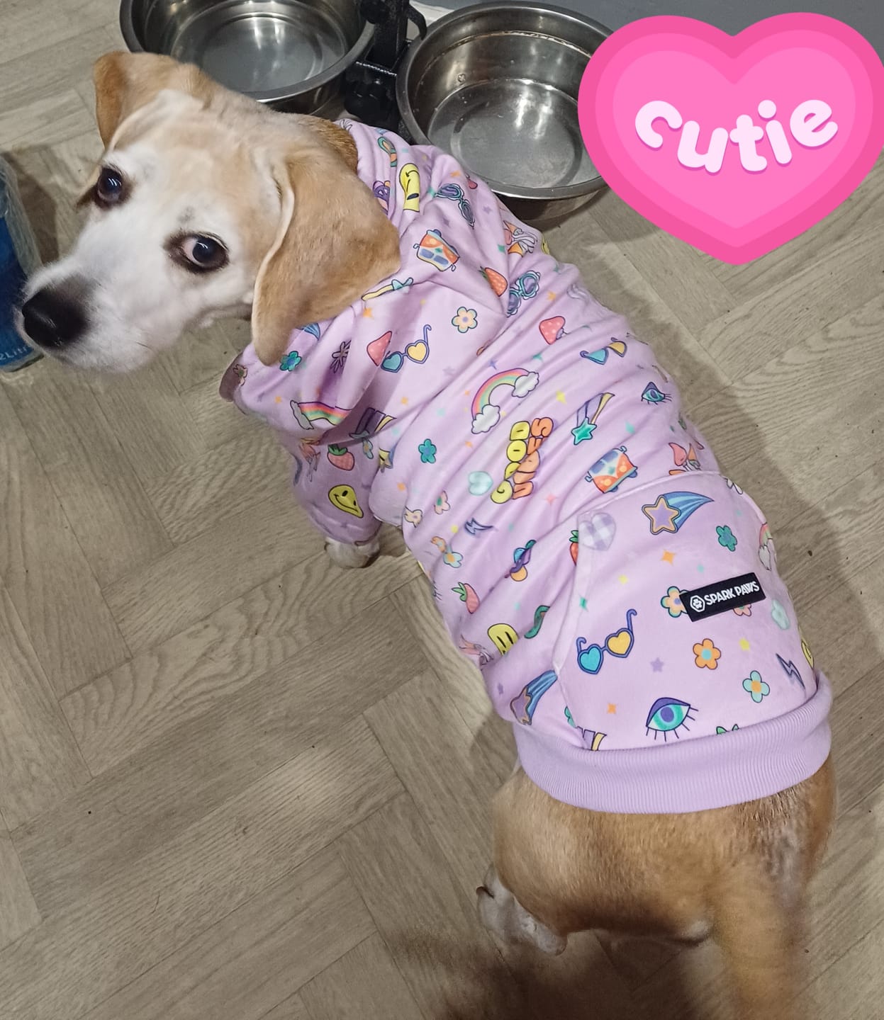 Customer photo review of Good Vibes Dog Hoodie - Purple