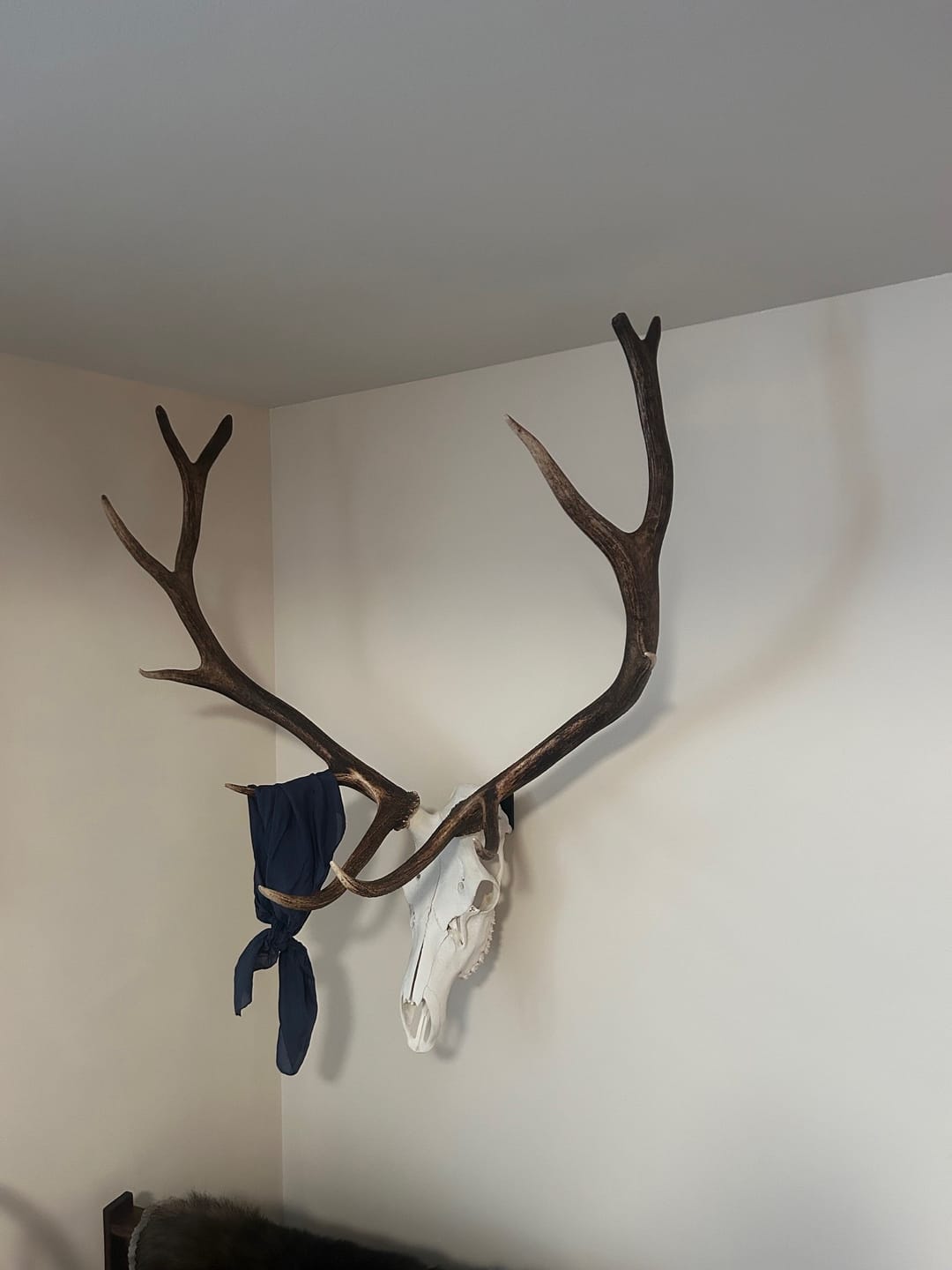 Customer photo review of SkulLok | Large Game