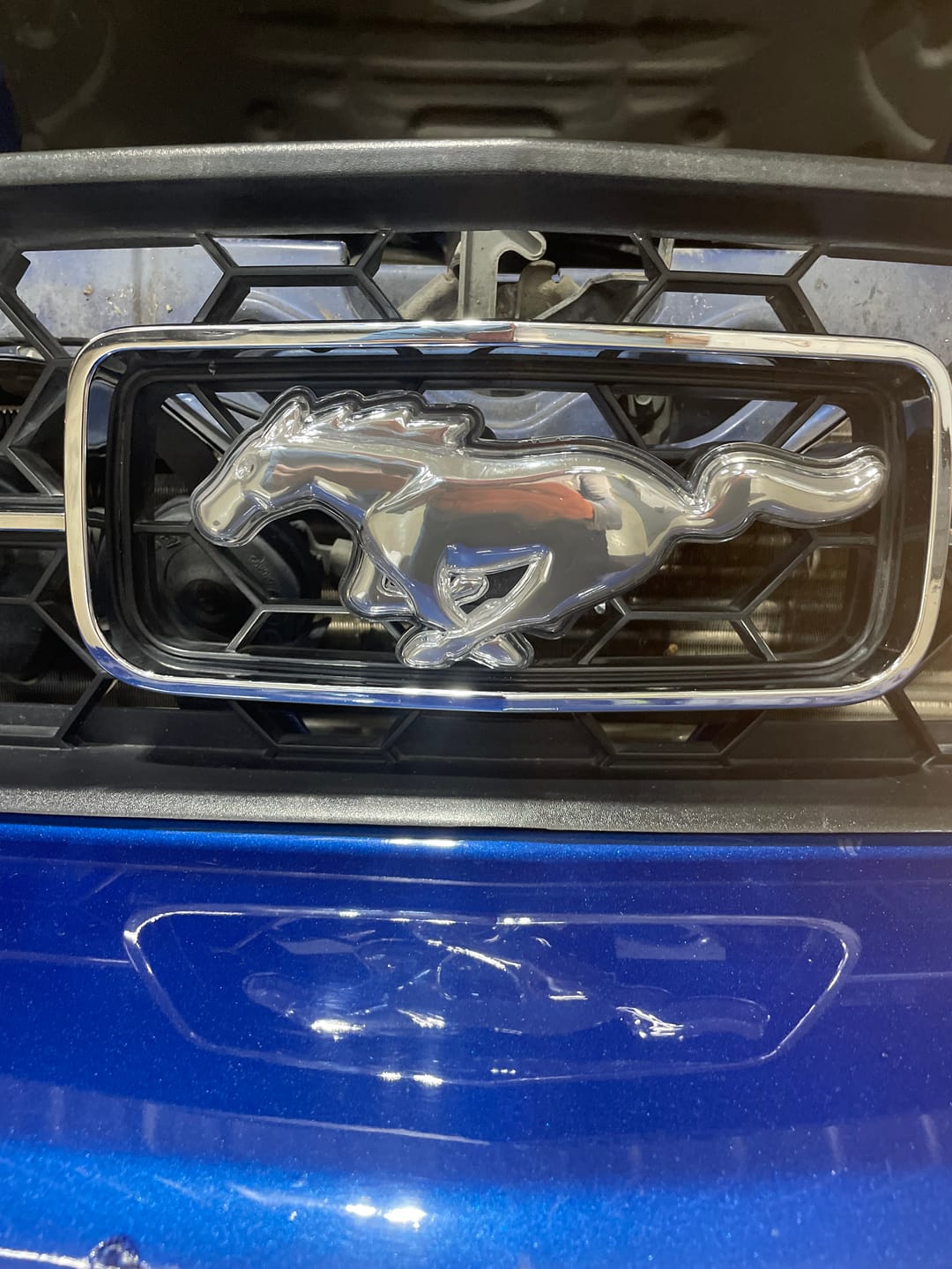 Customer photo review of Ford Mustang Illuminated Logo-Light Up Pony Badge for Ford Mustang & Mach-E,Perfect for Front Grill, Trunk, and Rear